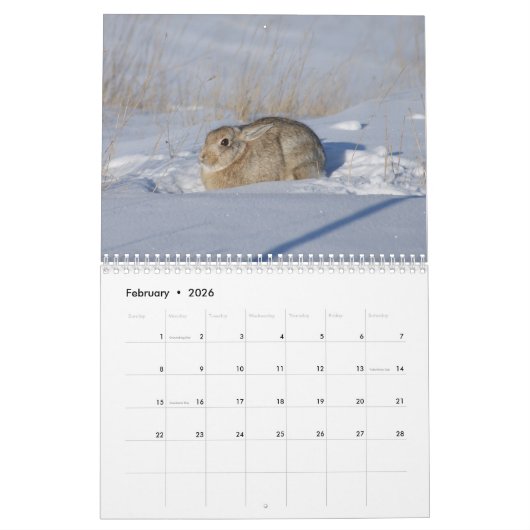 C14 Wildkalender Kalender (Feb 2026)