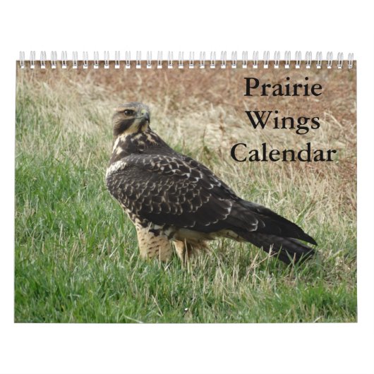C7 Prairie Wings Kalender (Hoes)