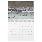 C7 Prairie Wings Kalender (Mar 2027)