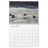C8 Prairie Wings Kalender (Jan 2027)