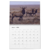 C9 Big Bull Elk Agenda Kalender (Mar 2026)