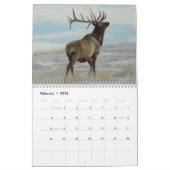 C9 Big Bull Elk Agenda Kalender (Feb 2026)