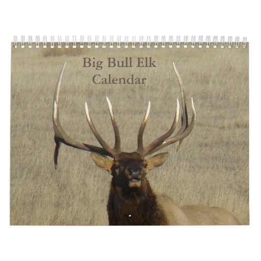 C9 Grote Stierelandkalender Kalender (Hoes)