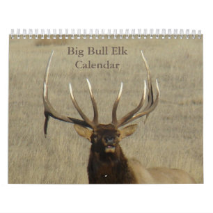C9 Grote Stierelandkalender Kalender