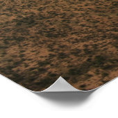 C-130 Hercules Poster (Hoek)