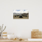 C-17 Globemaster III-Vliegtuig Poster (Keuken)