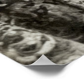 C. 1890 Queen Victoria of England Poster (Hoek)