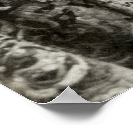 C. 1890 Queen Victoria of England Poster (Hoek)