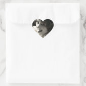 C. 1910  vrouw's Taunt Hart Sticker (Tas)