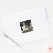 C. 1910 vrouw's Taunt Vierkante Sticker (Envelop)