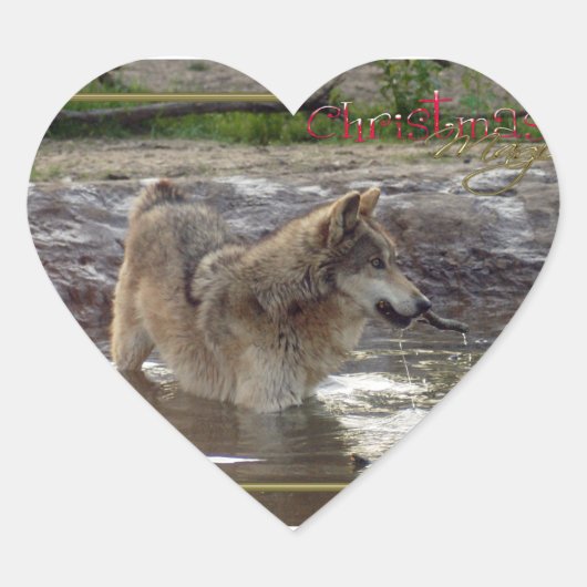 C-2011-Grijs-Wolf-005 Hart Sticker (Voorkant)