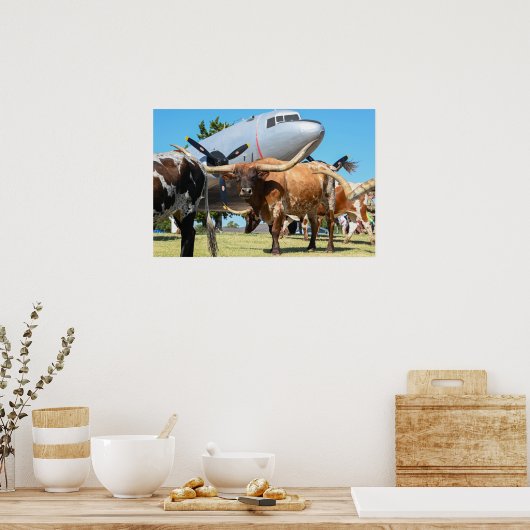 C-47 Skytrain in Texas Poster (Keuken)