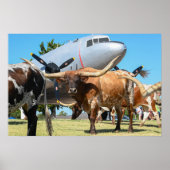 C-47 Skytrain in Texas Poster (Voorkant)