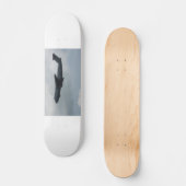 C-5 Galaxy Persoonlijk Skateboard (Voorkant)