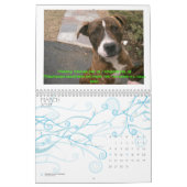 C.A.T.S. Agenda 2009 Kalender (Mar 2027)