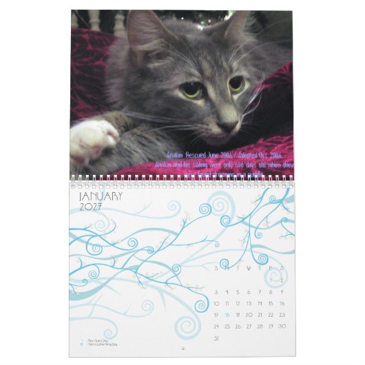 C.A.T.S. Agenda 2009 Kalender (Jan 2027)