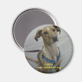 C.A.T.S. Magneet (Voorkant / Achterkant)