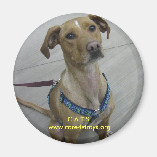 C.A.T.S. Magneet (Voorkant)