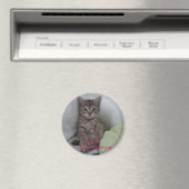 C.A.T.S. magneet: Magneet (Insitu (Vaatwasser))