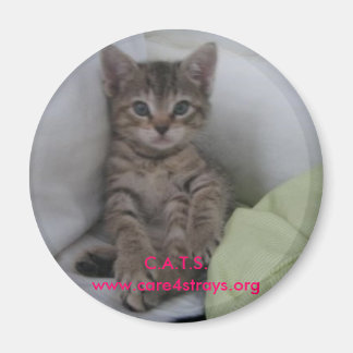 C.A.T.S. magneet: Magneet