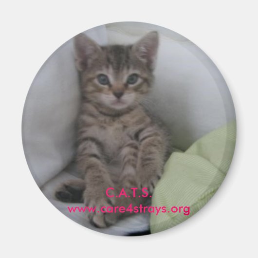 C.A.T.S. magneet: Magneet (Voorkant)