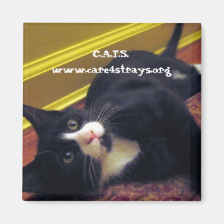 C.A.T.S. magneet: Magneet