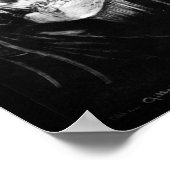 C. Allan Gilbert, alles is Vanity Poster (Hoek)