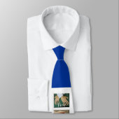 C&C CHIROPRACTISCHE BESPARINGEN STROPDAS (Gebonden)