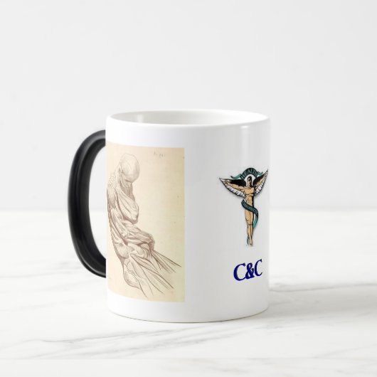 C&C-MOK MAGISCHE MOK (Voorkant links)