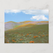 C de Lente Lndscp Briefkaart (Voorkant)