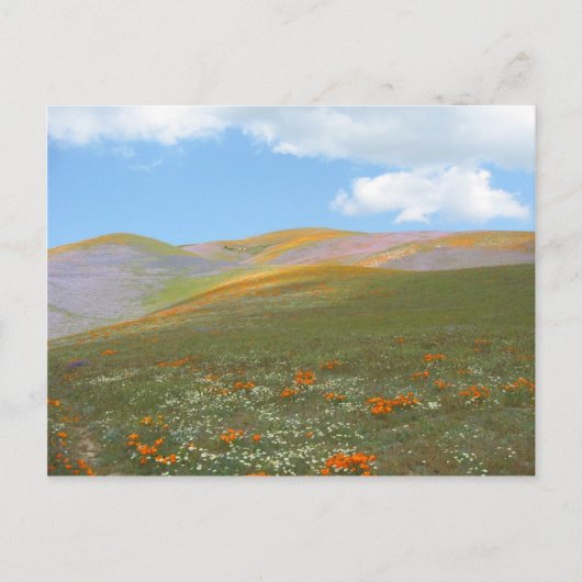 C de Lente Lndscp Briefkaart (Voorkant)