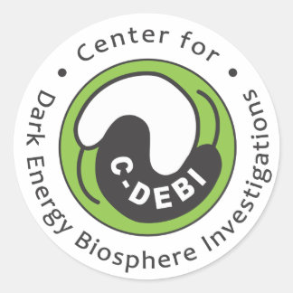 C-DEBI Sticker - Volledige naam