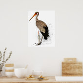 C G Finch-Davies Yellow Billing Stork Poster (Keuken)