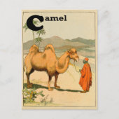 C is voor Camel - Alphabet Animal Briefkaart (Voorkant)