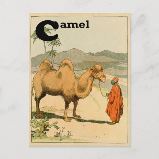 C is voor Camel - Alphabet Animal Briefkaart (Voorkant)