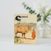 C is voor Camel - Alphabet Animal Briefkaart (Staand voorkant)