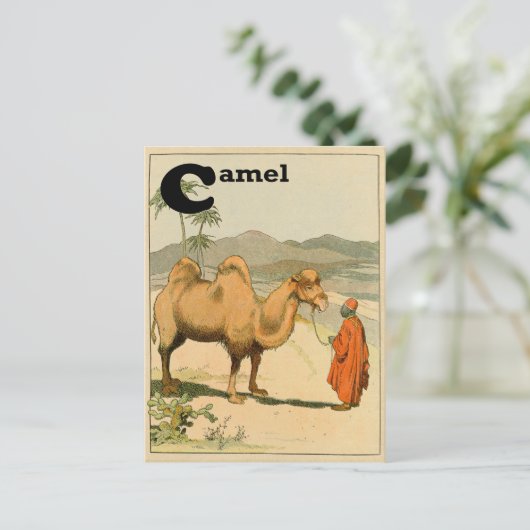 C is voor Camel - Alphabet Animal Briefkaart (Staand voorkant)