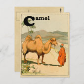 C is voor Camel - Alphabet Animal Briefkaart (Voorkant / Achterkant)