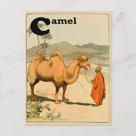C is voor Camel - Alphabet Animal Briefkaart