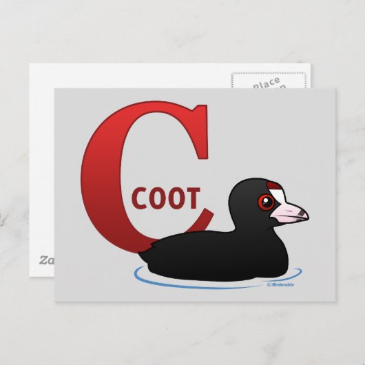 C is voor Coot Briefkaart (Voorkant / Achterkant)