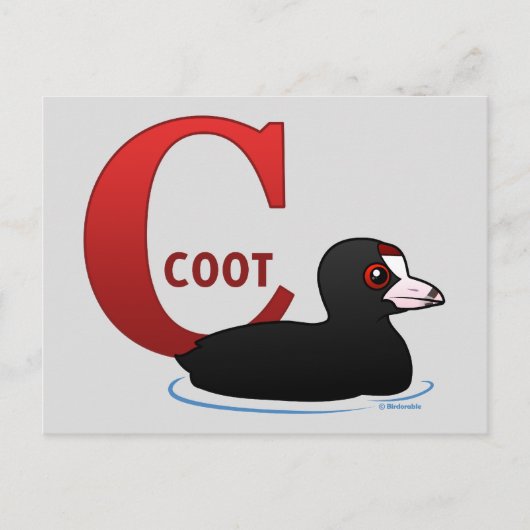 C is voor Coot Briefkaart (Voorkant)