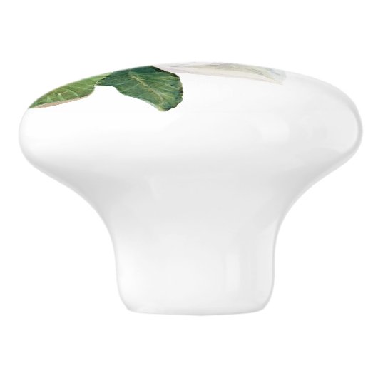 c keramische knop (Zijkant)