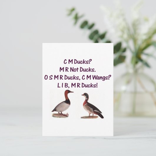 C M Ducks? Funny Southern Accent Briefkaart (Staand voorkant)