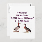 C M Ducks? Funny Southern Accent Briefkaart (Voorkant / Achterkant)
