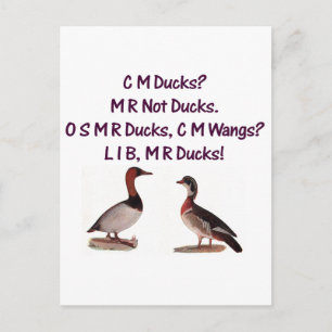 C M Ducks? Funny Southern Accent Briefkaart