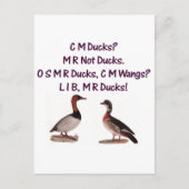 C M Ducks? Funny Southern Accent Briefkaart (Voorkant)