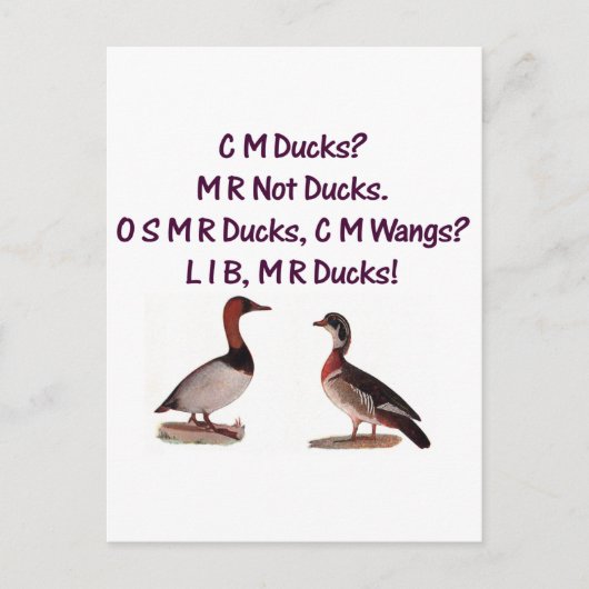 C M Ducks? Funny Southern Accent Briefkaart (Voorkant)