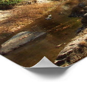 C & O-kanaal - Grote Herfsten, MD Poster (Hoek)