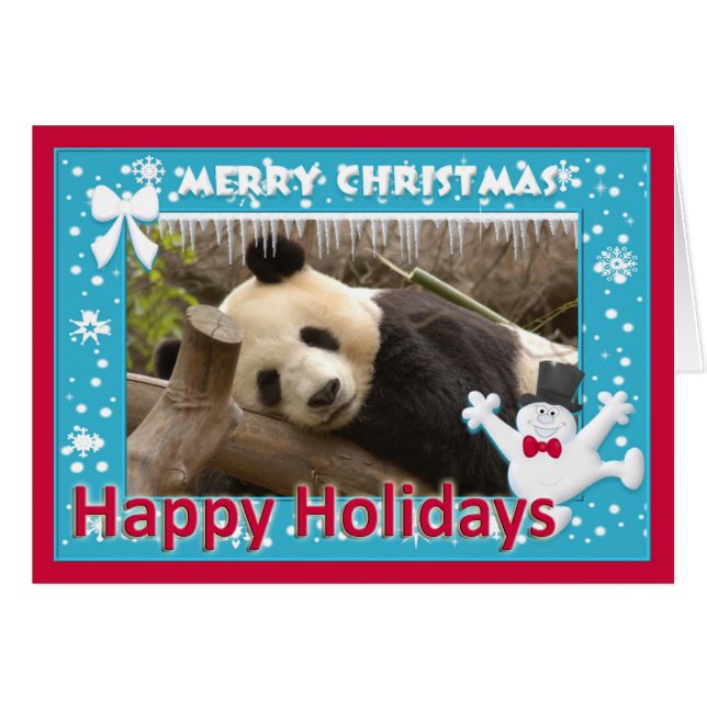 c-panda-278-s (Voorkant Horizontaal)