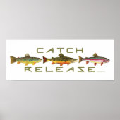 . C & R - forel Poster (Voorkant)